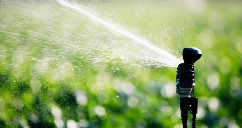 Irrigation installation and Repairs image