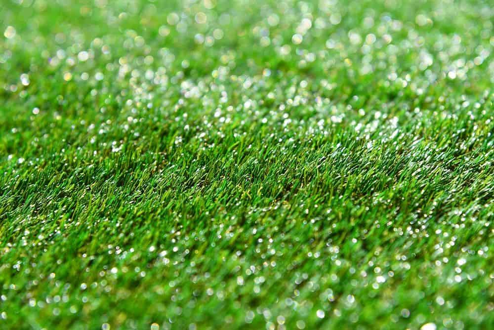 Artificial Turf image