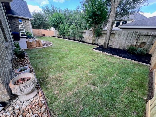 Transform Your Backyard with Expert Zoysia Sod Lawn image