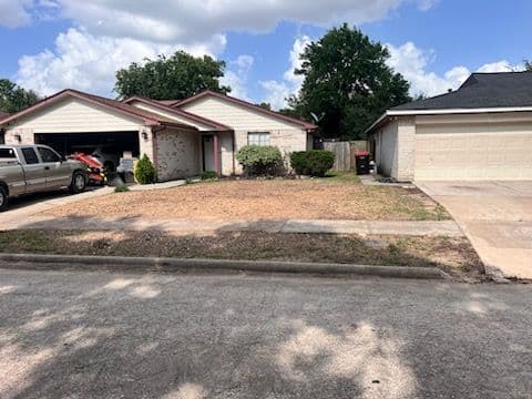 Expert Tree Removal and Stump Grinding Service image
