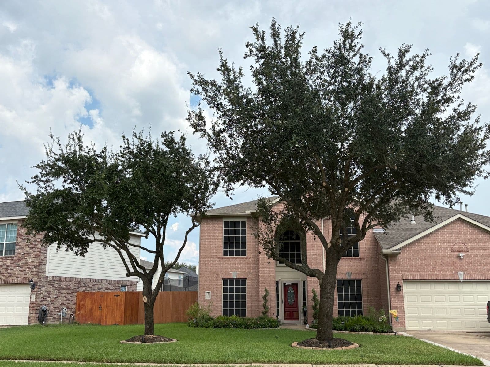 Project Enhanced Curb Appeal with Tree Canopy Lifting image