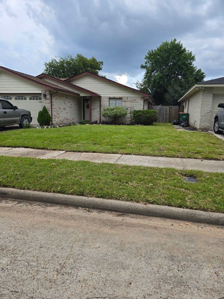 Project Irrigation System and Sod Installation Success image