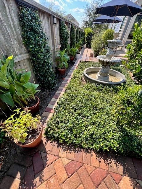 Transform Your Yard with Vibrant Paver Pathways image