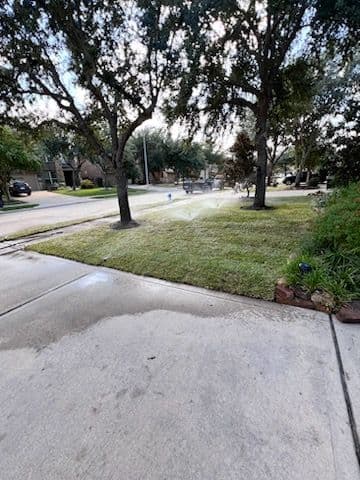 Revamp Your Outdoor Space with Our Expert Sod Installation