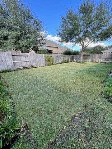 Revamp Your Outdoor Space with Our Expert Sod Installation