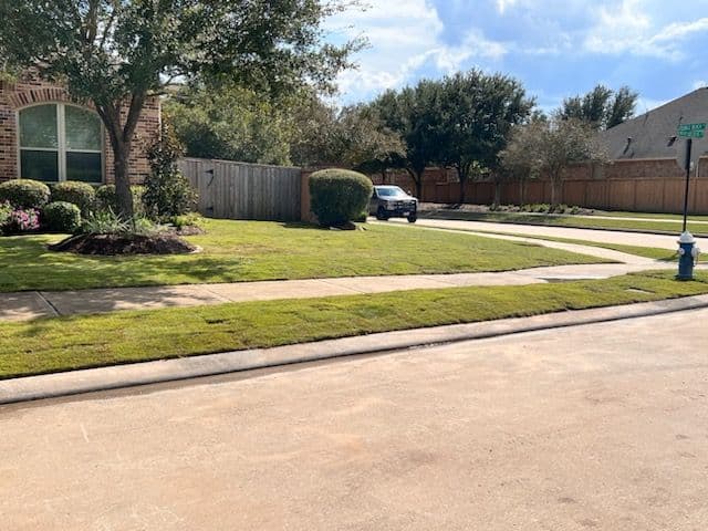 Gallery photos for Enhancing Curb Appeal with Fresh Sod and Landscaping: Image #1