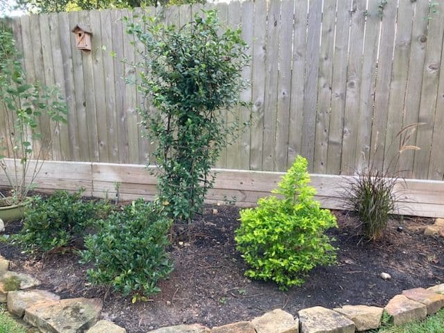 Project Garden Makeover with Lush Landscapes image