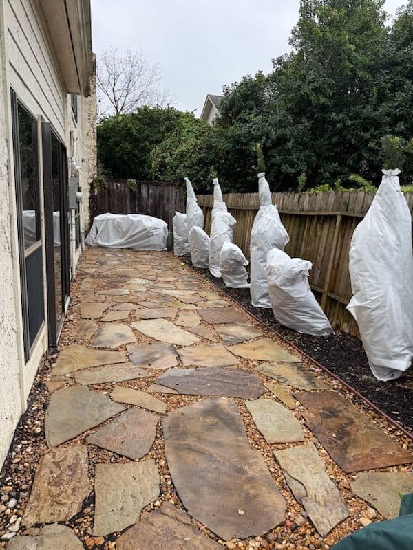 Project Plant Protection for Winter Weather image