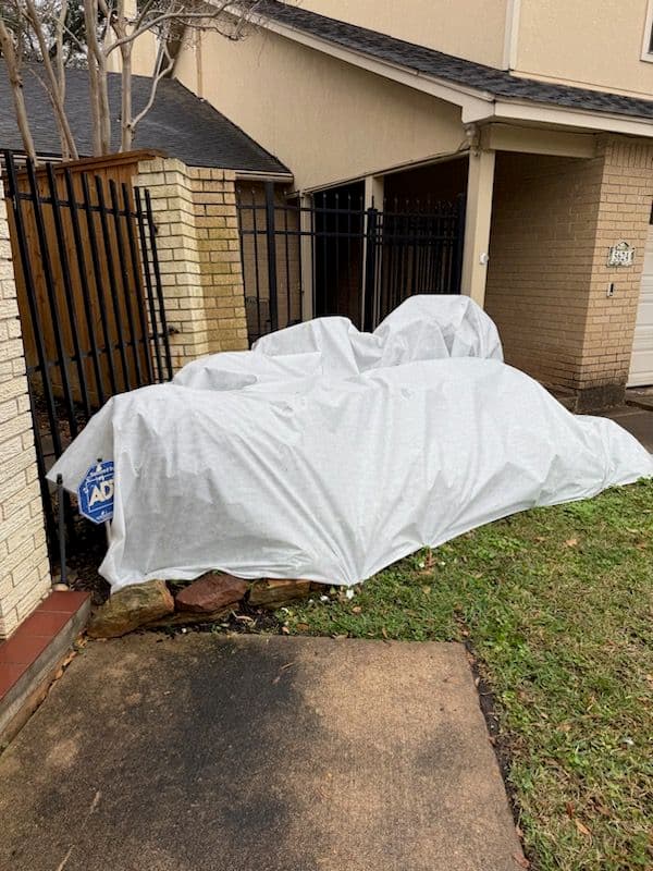 Gallery photos for Plant Protection for Winter Weather: Image #1