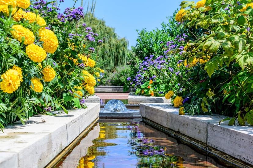 Award-Winning Landscape Designs's image