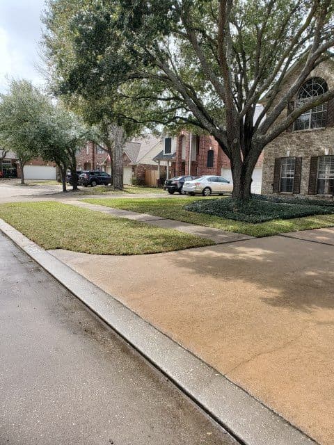 Front Yard Sod Installation