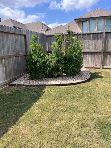 Transforming Yards with Smart Landscaping