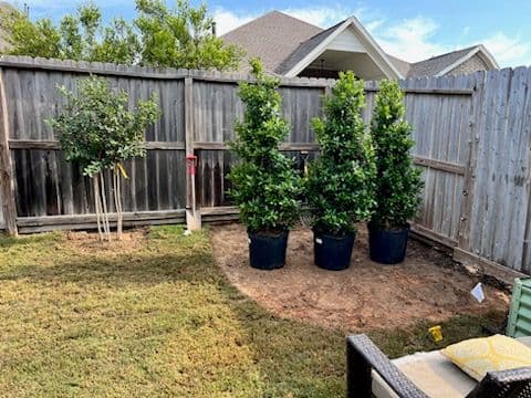 Gallery photos for Transforming Yards with Smart Landscaping: Image #2