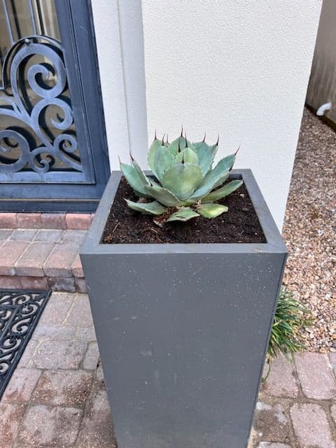 Gallery photos for Stunning Pathways and Relaxing Water Feature Installation: Image #1